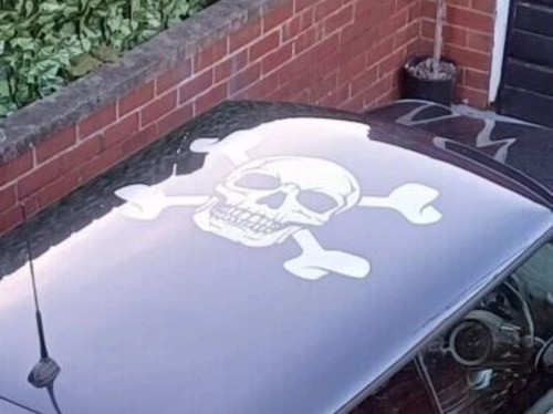 Extra large skull - extra, bones