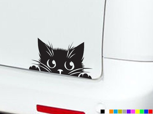 Peeking peeping cat eyes - eyes, boot