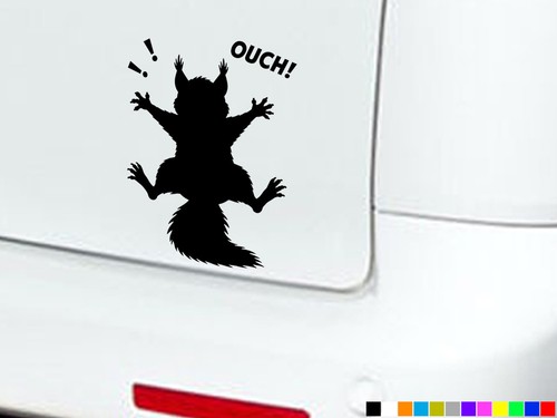 Squirrel splat funny car - squirrel,