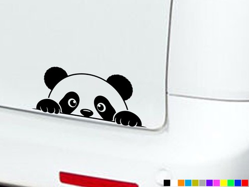 Peeking panda eyes boot - peeking,