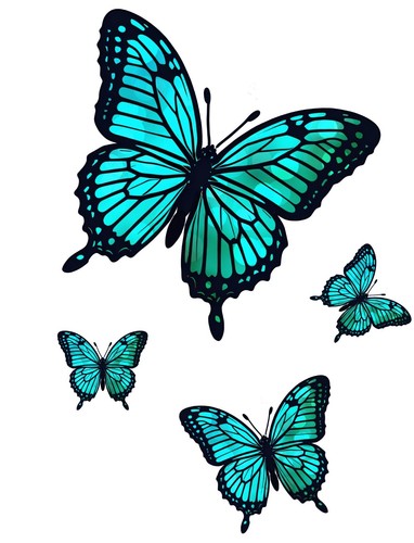 Set blue butterflies - set, 4