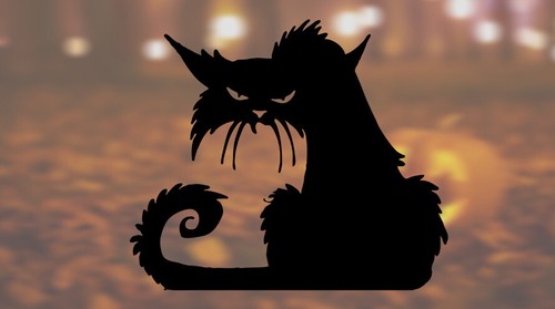 Black cat halloween spooky - black,