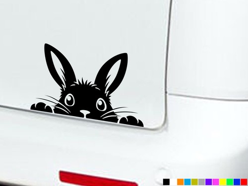 Peeking rabbit eyes boot - rabbit,