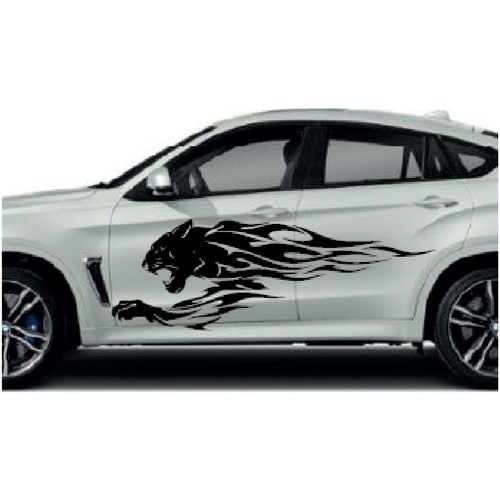 Car side graphics will fit - x, 2